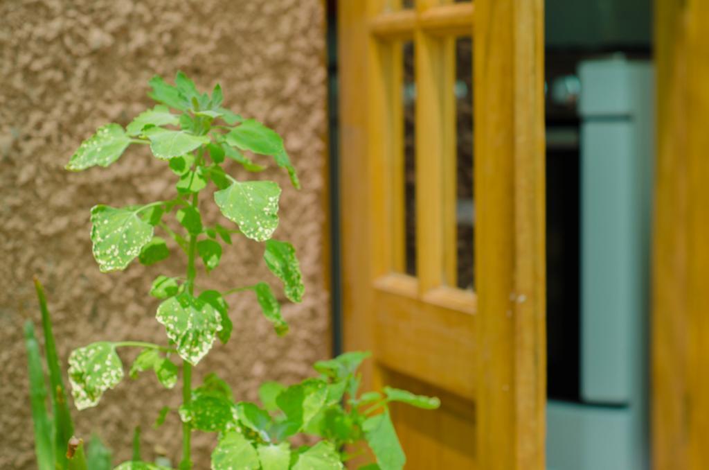 Hostal Alabalti San Pedro de Atacama Kültér fotó